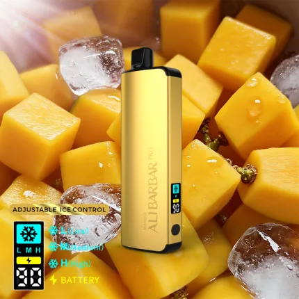 ALIBARBAR PRO 12000 Ice Adjust Mango Disposable Vape Australia