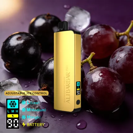 ALIBARBAR PRO 12000 Ice Adjust Blackcurrant Grape | VapeWellAus