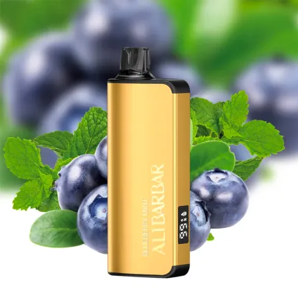 Alibarbar INGOT 9000 Blueberry Mint | VapeWellAus