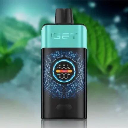 IGET One 12000 Mountain Spring Mint ice | VapeWellAus
