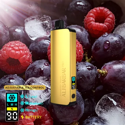 Alibarbar Ice Adjust:ALIBARBAR PRO 12000 Ice Adjust Raspberry Grape | VapeWellAus