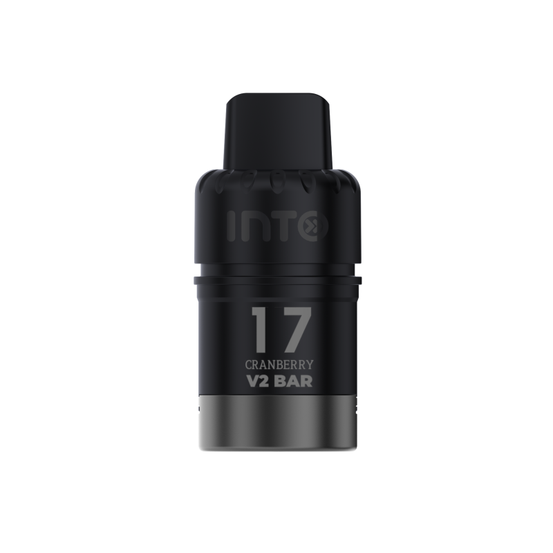reusable vape-INTO V2 Blueberry Watermelon - VapeWellAus Australia
