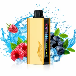 JNR Cruiser 12000 vape range